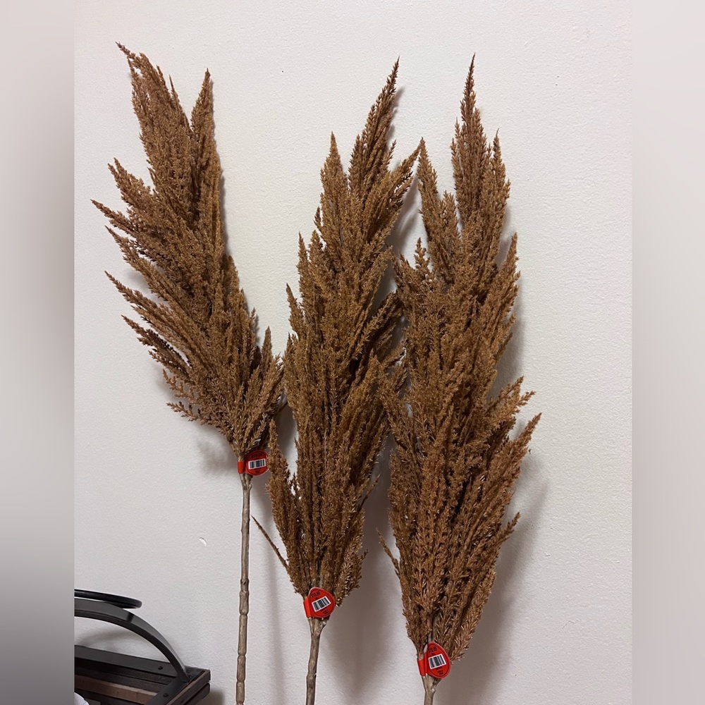 Orange tone pompous grass